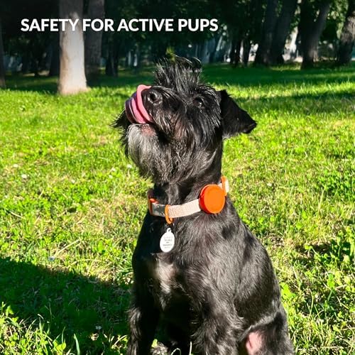 CollarDirect Airtag Nylon Dog Collar Silicon Holder Designed for Apple Airtag with QR Tags Personalized Dogs Puppies 5 Colors Black Pink Violet Green Orange (Violet, S)