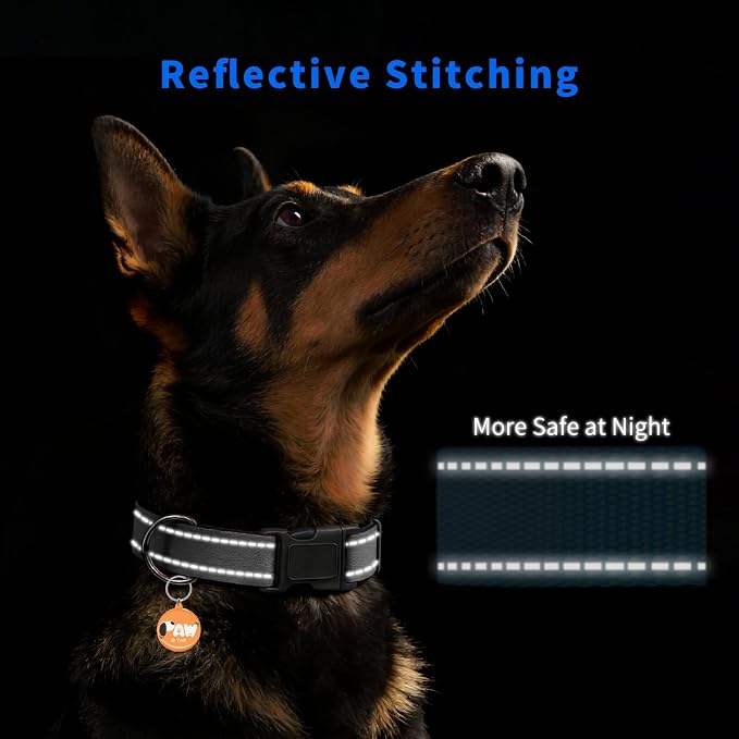 Personalized Collar with QR Code Tag, Medium, Black | Reflective Dog Collar with Smart ID Tag, Dog Collars for Medium Dogs
