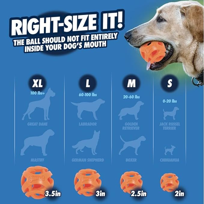Chuckit! Air Fetch Wheel Dog Toy, Orange