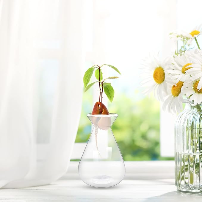 2 Pieces Avocado Seed Starter Vases, Avocados Tree Growing Kit Acorn Bulb Vase Grow Glass Avocado Pit Planter Pot Clear Hydroponics Container for Gardening Lover