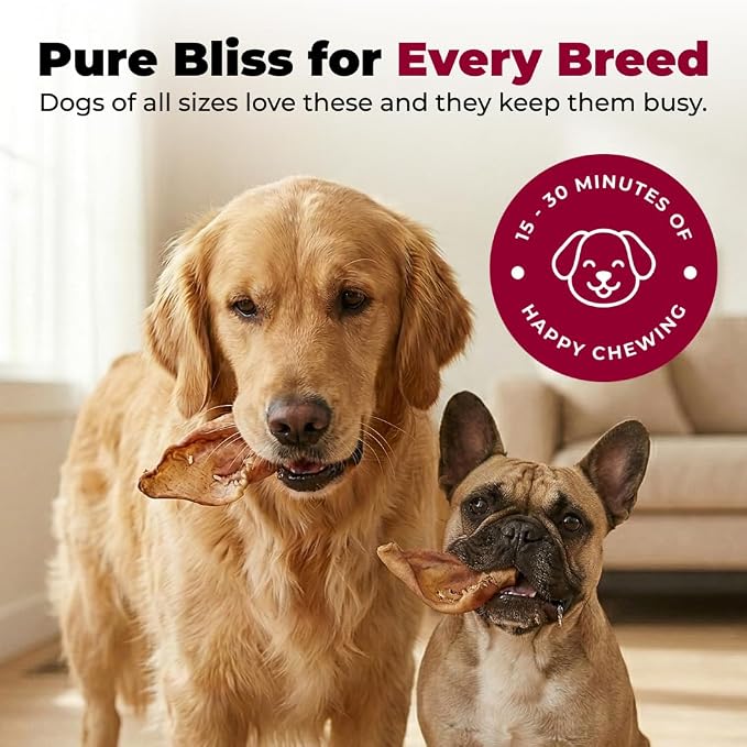 Best Pet Supplies GigaBite Half Cut Pig Ears for Dogs - 20 Count | Single Ingredient, All Natural, Supports Dental Health, Perfect for Training, Slow Roasted Chews