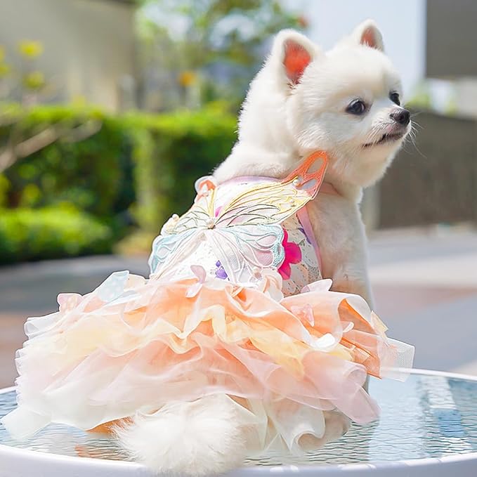 Dog Rainbow Butterfly Princess Dress Summer Thin,S | Cute Pet Cat Clothes For Yorkie Chihuahua Poodle Pomeranian French Bulldog Dachshund Teddy Dress Pet Supplies