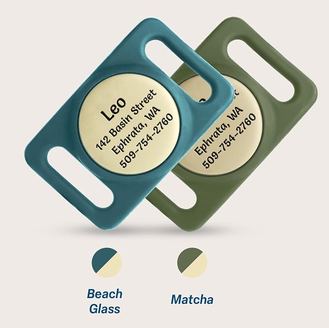 GoTags Designed for Airtag Engraved Dog Collar Holder, Personalized Case for Pet Collar, Up to 4 Lines of Custom Text, Slide On Tag for GPS Dog Tracker, Compatible with Apple iPhone (Large Pack of 1)