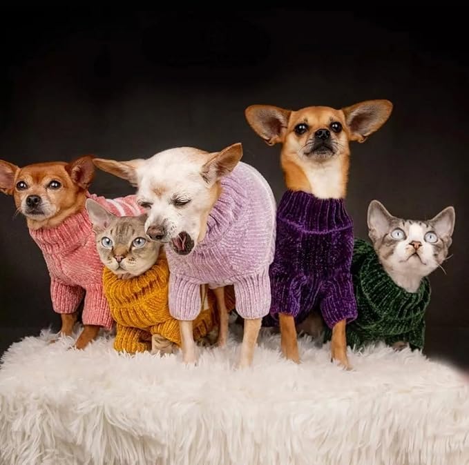 Blueberry Pet Cozy Soft Chenille Classy Striped Dog Sweater in Burgundy Red, Back Length 10", Pack of 1 Clothes for Dogs