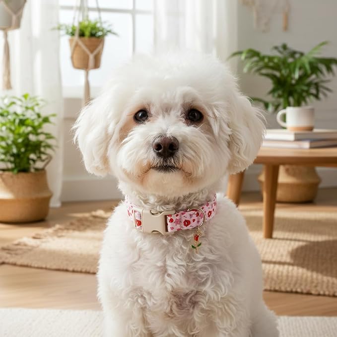 Dog Collar, Girl Dog Collars with Kiess Pattern, Cute Pet Collar with Soft Fabric and Quick Release Buckle, Adjustable for Extra Small, Small Dogs