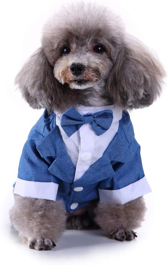 GabeFish Pets Wedding Jackets Suit for Dogs with Bow Tie Puppy Cat Formal Clothes Shirt Tuxedo (Blue, S (Chest 12.9in/33cm)