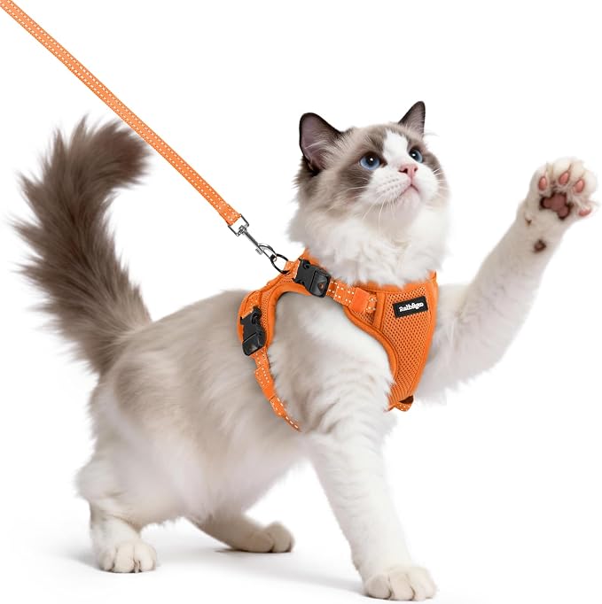rabbitgoo Cat Harness and Leash, Easy-on with Neck Buckle, Orange
