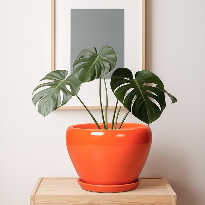 Ceramicfor Ceramic Pot for Plants - 10 Inch Plant Pot with Drainage Hole and Saucer, Modern Round Glaze Planter for Indoor Outdoor Plants, Plant Lover Gifts, Home Garden Office Decor, Orange