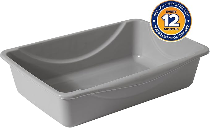 Petmate Basic Open Cat Litter Pan, Multidirectional Easy to Clean Plastic Litter Box, Gray, Made in USA, 14" x 10.5" x 3.5", Small Recommended for Kittens and Small Cats