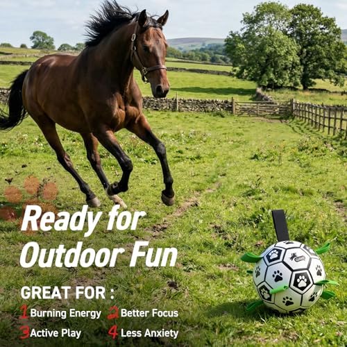 QDAN 10 Inch Gaint Dog Soccer Ball with Straps, Durable Large Dogs Balls | Outdoor Big Dog Toys, Herding Balls for Large Dogs, Puppy Toy for >100 lbs Dogs, Interactive Training Soccer, Pool Water Toy
