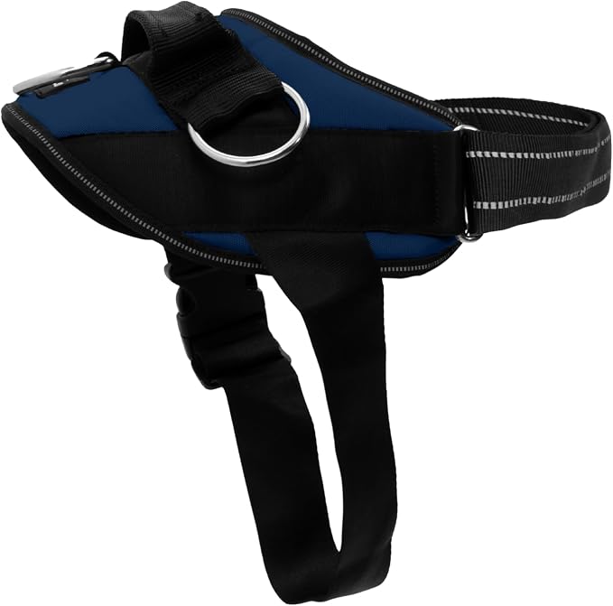 ShawnCo Essential Dog Harness, No-Pull Pet Vest (Pacific Blue,S) | 3 Leash Clips, Easy On, No-Choke, Reflective, Adjustable Fit, Padded Comfort, Control Handle, For Small, Medium & Large Dogs