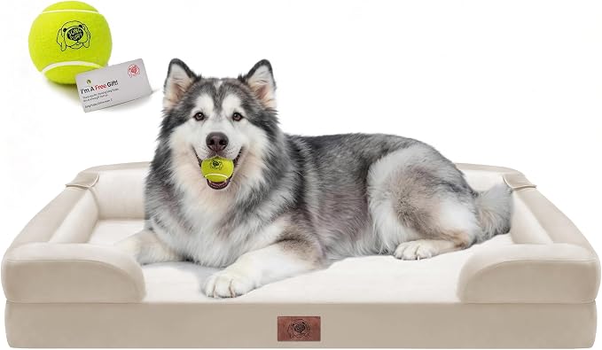 Waterproof Orthopedic Dog Bed for Extra Large Sized Dogs | Memory Foam Pet Bed Sofa with Bolster, Dog Couch with Washable Cover & Non-Slip Bottom, 48x30 Inch, Beige