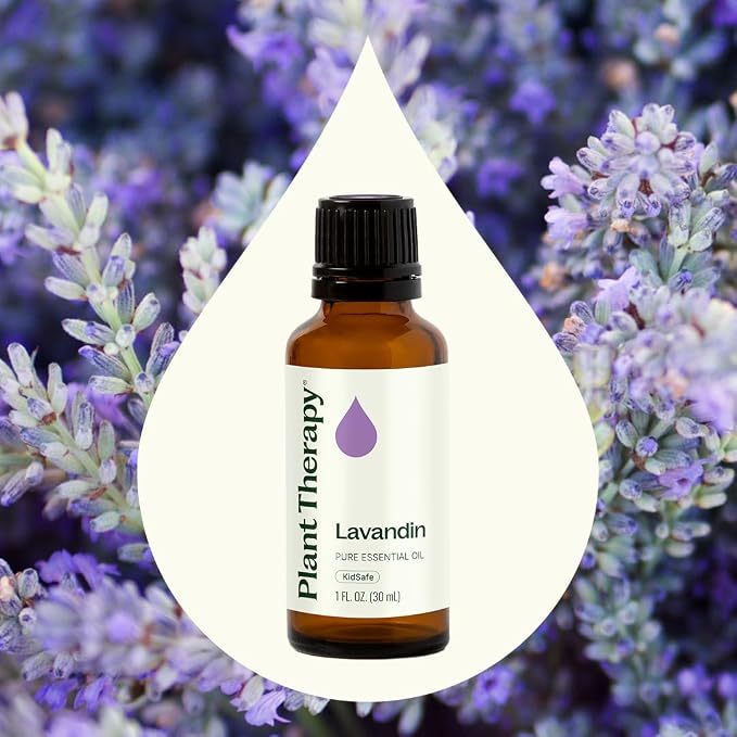 Plant Therapy Lavandin Essential Oil 30 mL (1 oz) 100% Pure, Undiluted, Supports Calm and Balanced Emotions