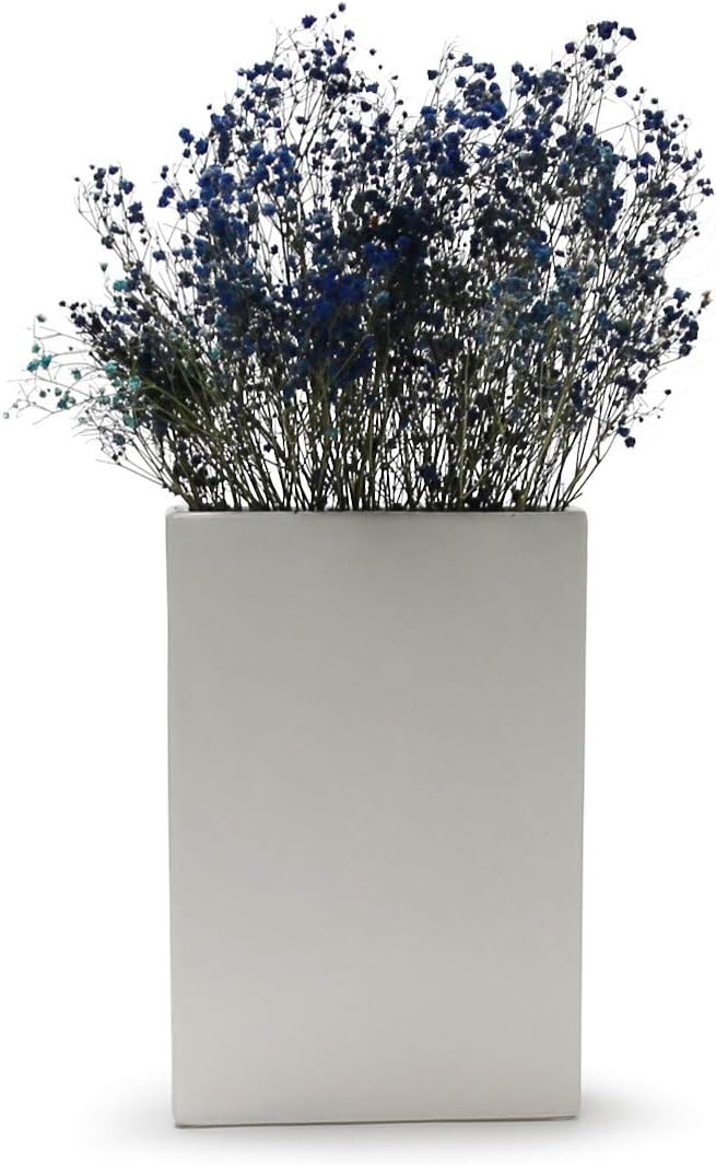 WGV Rectangle Block Ceramic Vase 8" x 2.5" x 12"H White Tall Narrow Planter Terrarium Floral Centerpiece for Wedding Event Home Decor 1 Piece