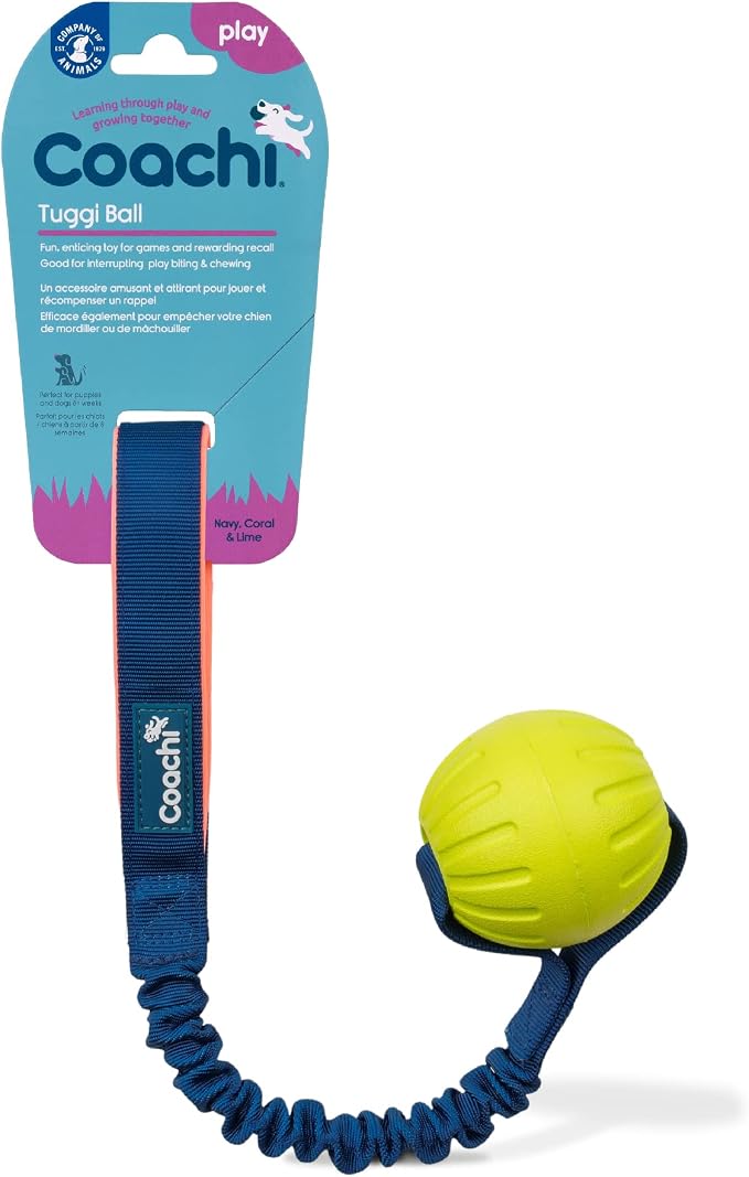 Coachi Tuggi Ball - Interactive Dog Toy for Tug of War & Play