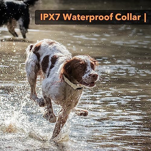 Dog Training Collar with APP Control - 2-in-1 E Collar for Dogs Training 1/2 Mile Range Bluetooth-Enabled Waterproof Dog Training Collar with Remote Control Electric Dog Collar for 15-140 Lbs Dogs