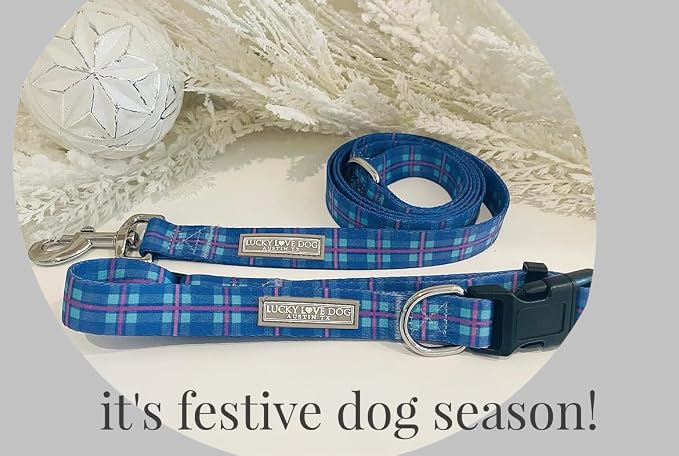 Lucky Love Dog Martingale Collar & Leash Set No Slip Cute – Scotty, Medium