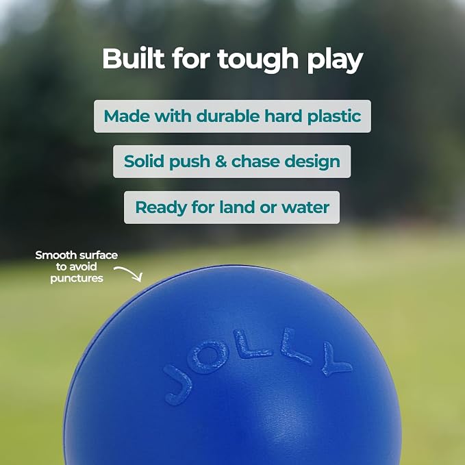 Jolly Pets Push-n-Play Ball Dog Toy, 6 Inches/Medium, Blue (306)
