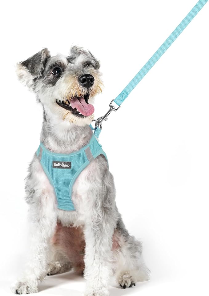 rabbitgoo Dog Harness Medium Sized and Leash Set, Step-in Puppy Pet Vest | Light, Soft, Breathable Air Mesh, Easy on and Remove with Hook & Loop, Secure Reflective for Walking, Mint Blue XL