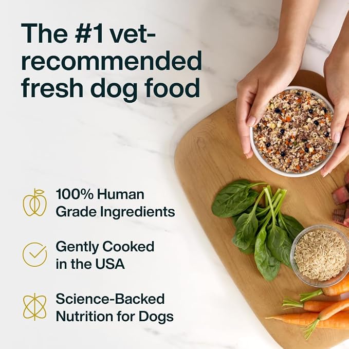 JustFoodForDogs Pantry Fresh Wet Dog Food, Complete Meal or Dog Food Topper, Lamb & Brown Rice Human Grade Dog Food Recipe - 12.5 oz (Pack of 12) | Fresh Pet Meal or Fresh Dog Food Topper, Human Grade Recipe Made With Whole Foods, Preservative-Free, 12...