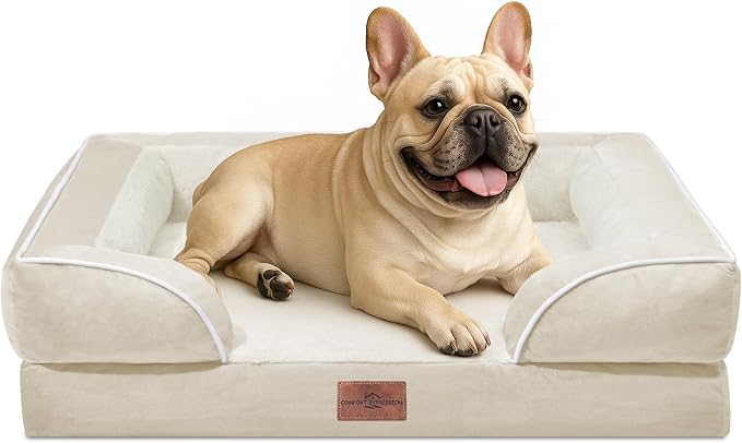Comfort Expression Waterproof Orthopedic Dog Bed for Medium Size Dog | Supportive Egg Crate Foam Medium Pet Bed with Removable Bolsters, Dog Couch with Washable Cover & Non-Slip Bottom, 30x20 Inch