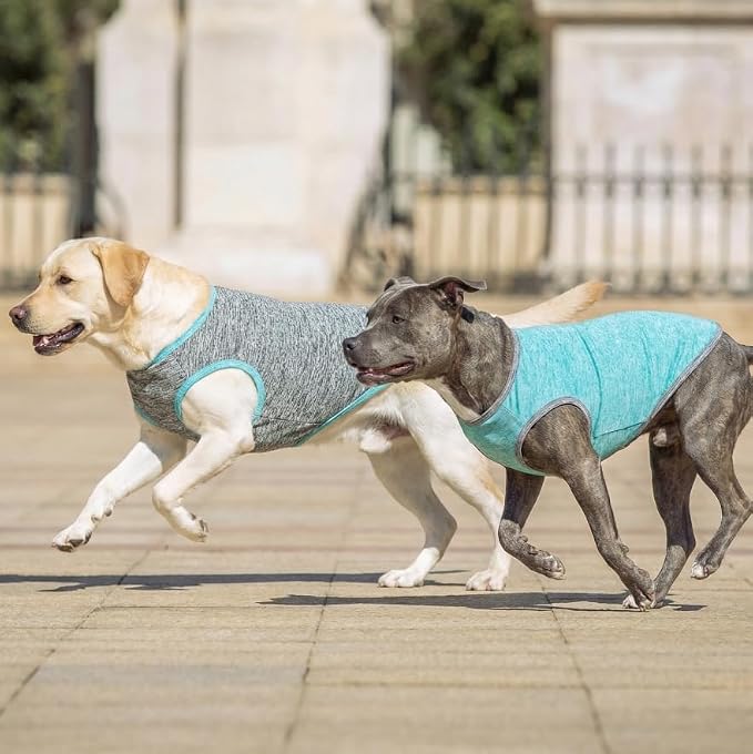 KYEESE 2Pack Dog Shirt for Medium Dogs Sun Protection Tank Top for Summer | Reflective for Safety, Lightweight & Breathable, Shedding Control, Skin-Friendly for Sensitive Dogs, Easy On/Off, Quick Dry
