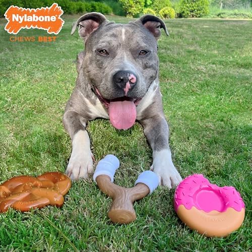 Nylabone Strong Chew Cute Dog Toy Bundle, Large, 3 Count