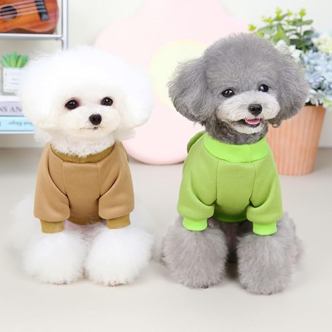 Light Green Cute Dog Sweater Soft Winter Clothes for Small Dogs, XS | Classic Green Knit Pullover, Fall Winter Outfit, Elastic Cuffs, Holiday Party Matching, Machine Washable Sweatshirt for Pets