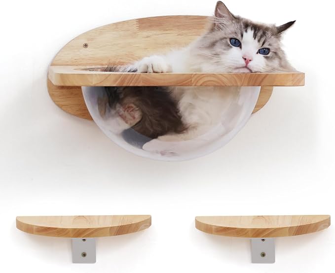 FUKUMARU Cat Wall Furniture Set, Transparent Capsule with 2 PCS Pedals | Kitten Walls Shelves, Premium Kitty Bed, For Sleeping, Playing, Climbing, Lounging, Holds Up to 35 Lbs