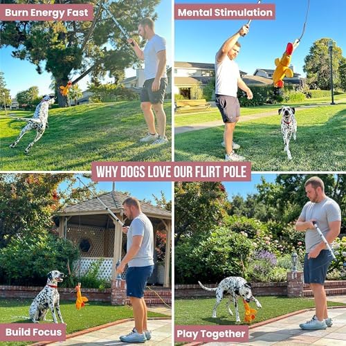 Flirt Pole for Dogs Heavy Duty 35 Inch Teaser Wand with Duck Toy