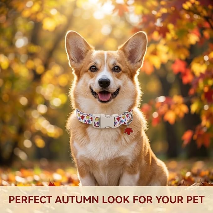 Fall Dog Collar, Puppy Collar for Small Dogs, S