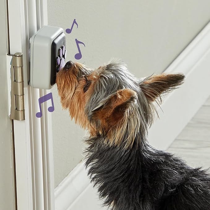 Hunger for Words Talking Pet Doorbell - Potty Training Door Bell, Dog Training Tools, Puppy Must Haves, Puppy Buttons, Potty Train Bell for Dogs, Button for Dogs, Housetraining Dog Doorbell