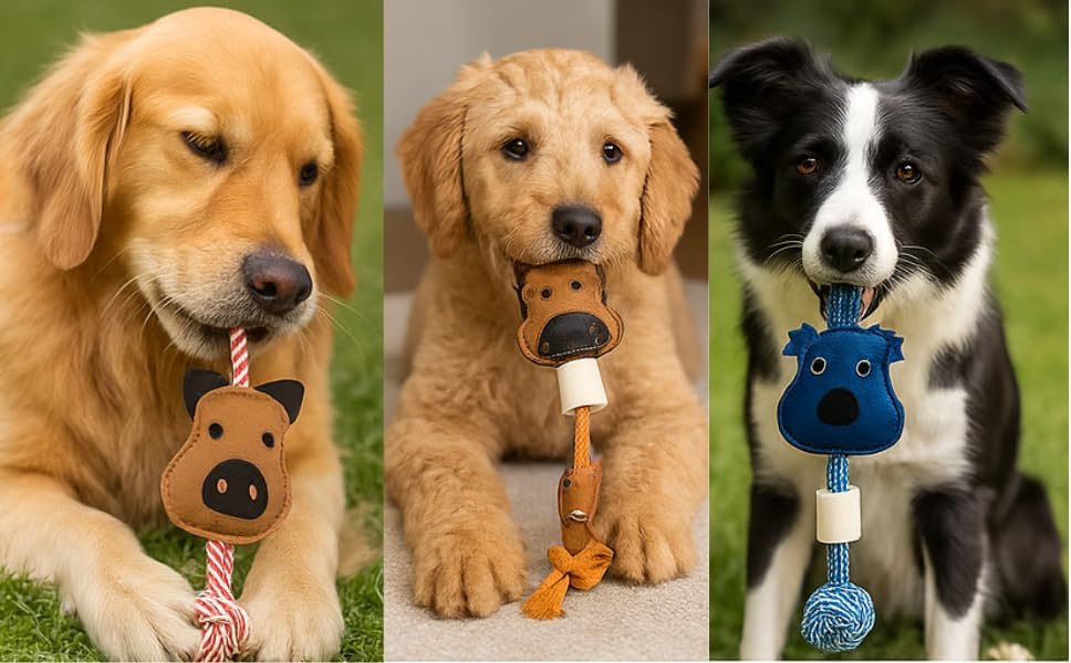 Pig Shape Dog Rope Toy with Natural Suede Leather, Interactive Tug and Chew Toy for Medium and Large Dogs, Knotted Cotton Rope for Teething, Fetch and Daily Indoor Play