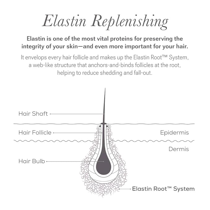 NULASTIN Shape Altering Eyebrow Serum - Brow Serum to Shape & Define - Improves the Appearance of Sparse Eyebrows for a Fuller Look - Enriched with Hair-Strengthening Ingredients (0.1 Fl Oz)