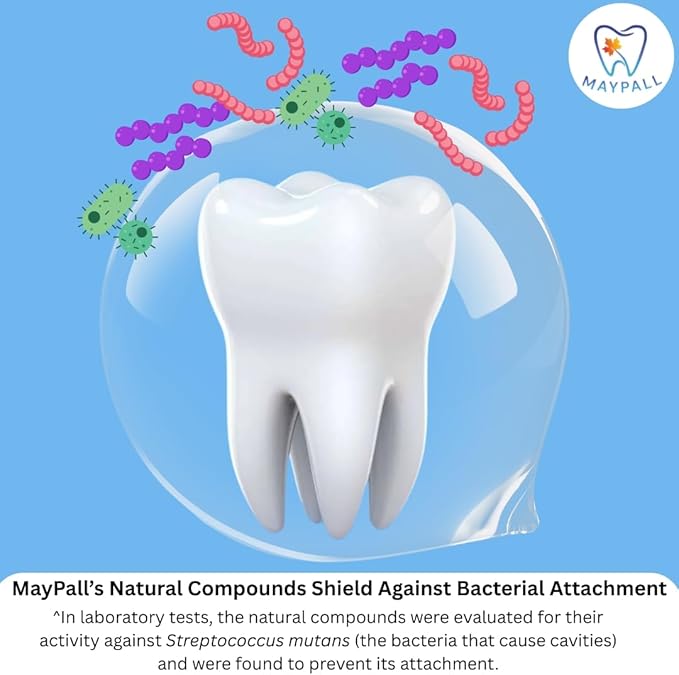 MayPall Bubblegum Flavored Kid's Mouthwash, Safe to Swallow, Natural, Promotes Healthy Teeth, Gentle Taste, No Burn, No Fluoride, No Alcohol, 16.9oz (Pack of 2).