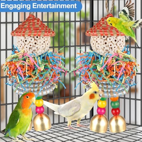 BBjinronjy 2PCS Bird Toys Parrot Foraging Shredder Hanging Toys Sola Balls with Bell for Small Parrots Parakeets Cockatiel Conures Love Birds Budgie Cage Toy