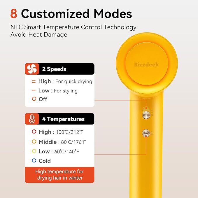 Ionic Hair Dryer, 300M Negative Ions 110,000 RPM High-Speed Brushless Blow Dryer for Frizz-Free Shine, Fast Drying Intelligent Thermo-Control, Lightweight Quiet Dryer with Magnetic Nozzle