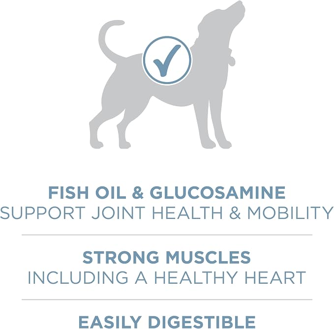 Purina ONE Plus Joint Health Dry Dog Food, Chicken, 16.5 lb Bag | Natural dog food with added vitamins, minerals & nutrients, with glucosamine & fish oil to support joint health and mobility