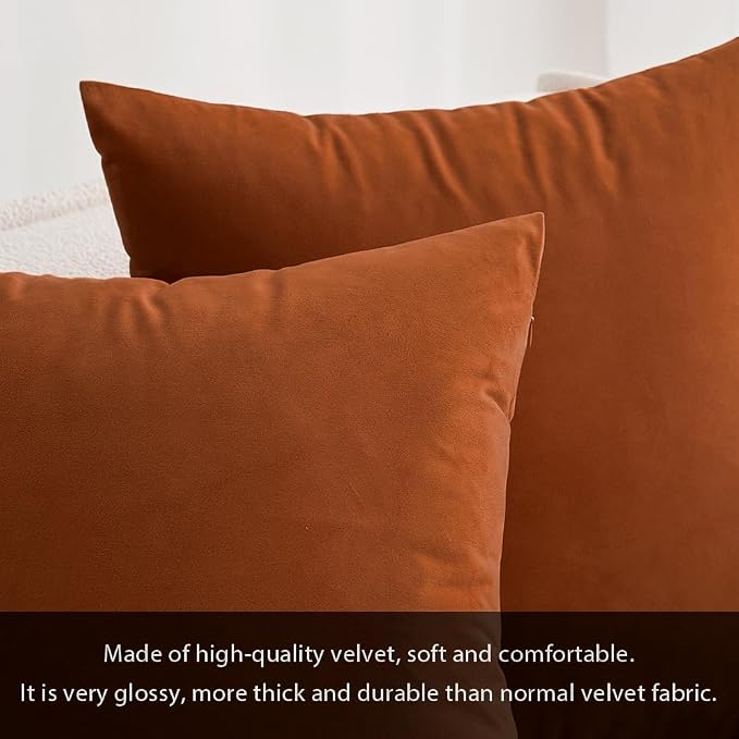 MIULEE 12x20 Inch Lumbar Fall Velvet Throw Pillow Cover Set of 1 Rust | Soft Luxury Decorative Throw Pillow Cover, Single Rectangle Cushion Case, Home Decor for Chair Couch Sofa Bedroom Car Bed