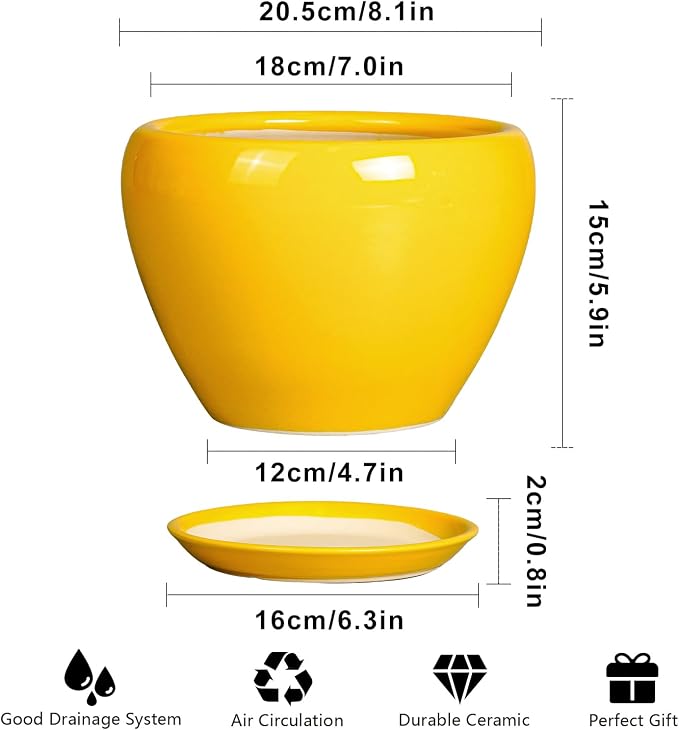 Ceramicfor 8 Inch Plant Pot - Glaze Modern Round Ceramic Planter for Indoor Outdoor Plants with Drainage Hole and Saucer for Home Patio Room Office Decor, Yellow