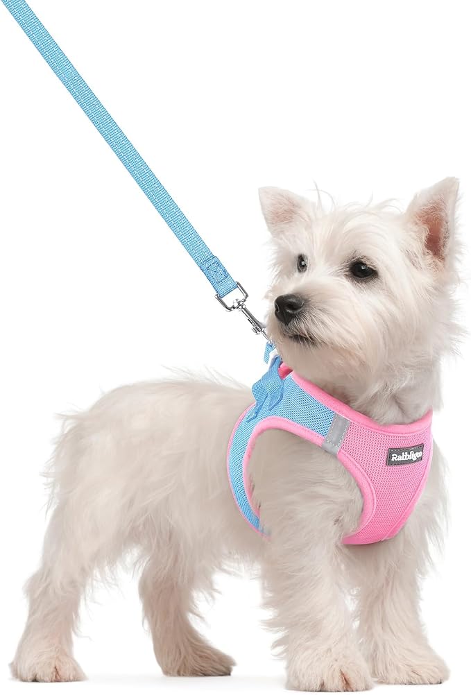 rabbitgoo Dog Harness Small Sized and Leash Set, Step-in Puppy Pet Vest | Light, Soft, Breathable Air Mesh, Easy on and Remove with Hook & Loop, Secure Reflective for Walking, Blue & Light Pink S