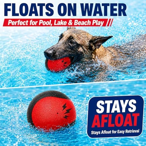 Squeaky Balls for Dogs, Interactive Rubber Fetch Toy for Small Medium Dogs