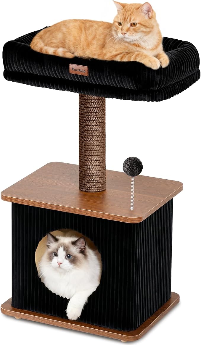 Small Cat Tree for Indoor Kittens, 30" Compact Modern Cat Tower | Natural Bamboo Cozy Condo, Soft Padded Perch, Sisal Scratching Post, Dangling Ball Toy, Stable Base, for Cats up to 15 lbs