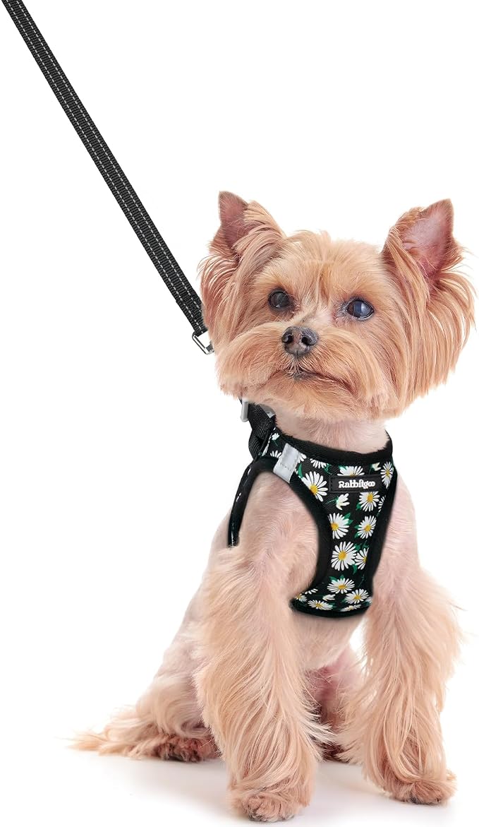 rabbitgoo Dog Harness Small Sized and Leash Set, Step-in Puppy Pet Vest | Light, Soft, Breathable Air Mesh, Easy on and Remove with Hook & Loop, Secure Reflective for Walking, Midnight Daisy XXS