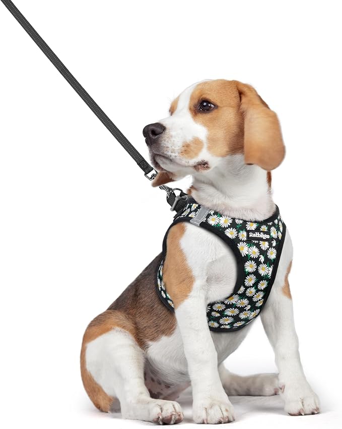 rabbitgoo Dog Harness Medium Sized and Leash Set, Step-in Puppy Pet Vest | Light, Soft, Breathable Air Mesh, Easy on and Remove with Hook & Loop, Secure Reflective for Walking, Midnight Daisy L
