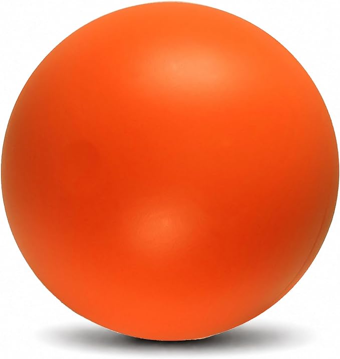 Doggie Dooley Virtually Indestructible Dog Ball - 6 Inch Hard Plastic Interactive Dog Toy for Large Breeds Over 15-50 lbs - Built for Herding & Push Play -Floats in Water, Made in USA -Colors May Vary