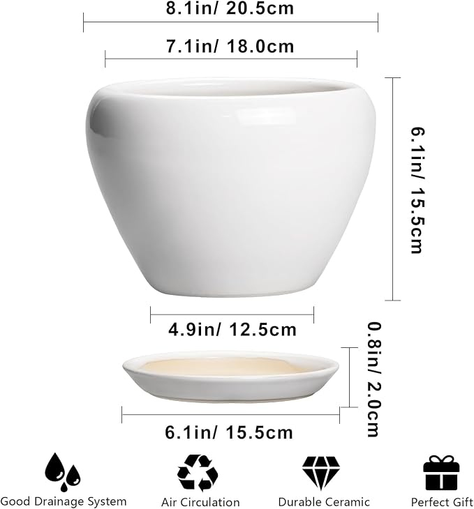 Ceramicfor Ceramic Pot for Plants - 8 Inch Ceramic Planter for Indoor Plants, Modern Round Planter with Drainage Hole and Saucer, Plant Lover Gifts, Home Office Garden Decor, White