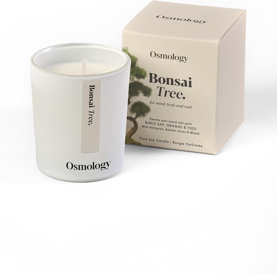 Bonsai Tree Aromatherapy Candle – Orange, Yuzu & Balsam Scented Candle, Plant-Based Wax, Mini 2.8 oz, 15 Hour Burn Time, Fresh & Uplifting Candle