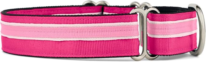 If It Barks 1" Martingale Collar for Dogs, Adjustable Nylon, USA Made, Small, Bubble Gum