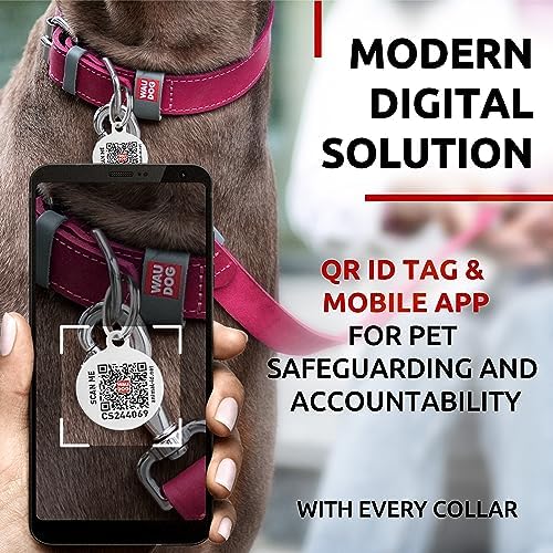 WAUDOG Long Lasting Leather Dog Collar for Large Dogs, Medium & Small Dogs - Adjustable Classic Puppy Collars for Large Breed Dogs - Boy & Girl Dog Collars with Durable Buckle, D-Ring & QR Dog Tag